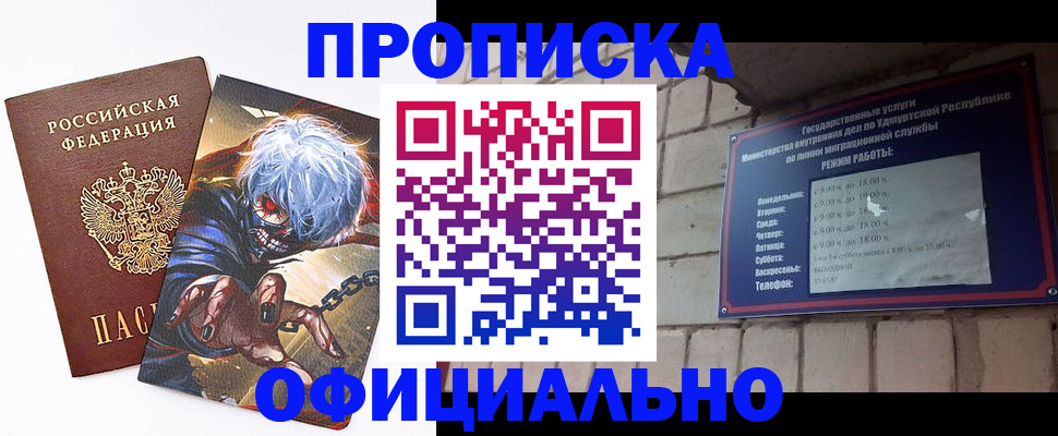 прописка для школы в Курчалом
