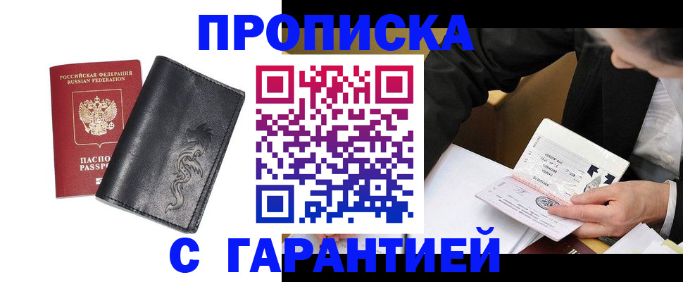 найти адрес прописки в Курчалом